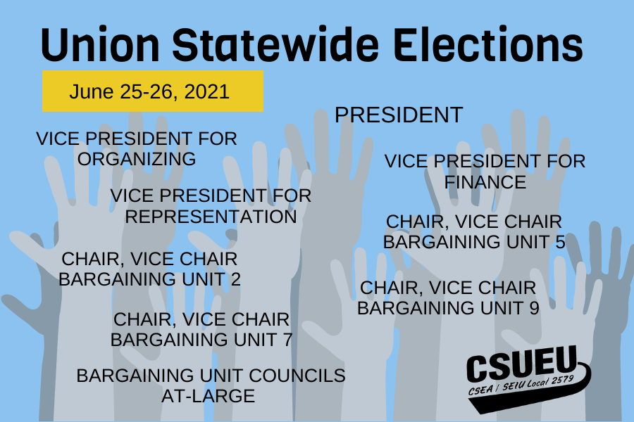 Union Statewide Elections (1).png